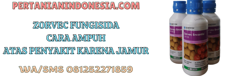 zorvec,fungisida,zorvec encantia 330 se,corteva,pertanian indonesia